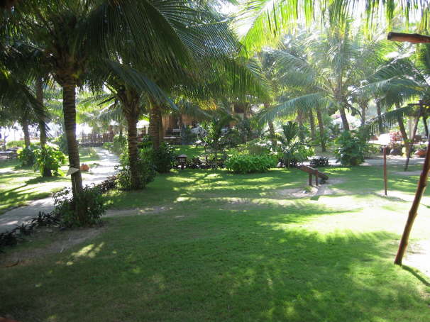 IMG00067